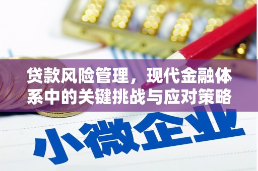 云安贷款风险管理，现代金融体系中的关键挑战与应对策略