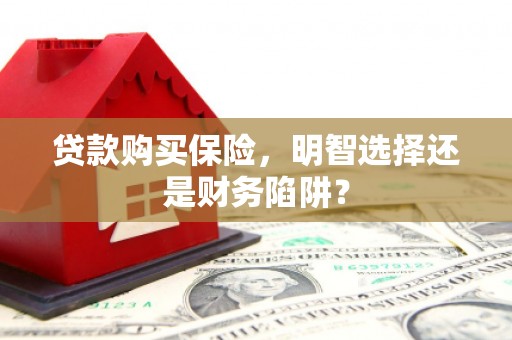 云安贷款购买保险，明智选择还是财务陷阱？
