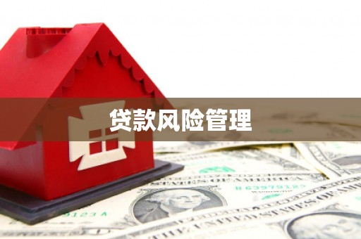 云安贷款风险管理