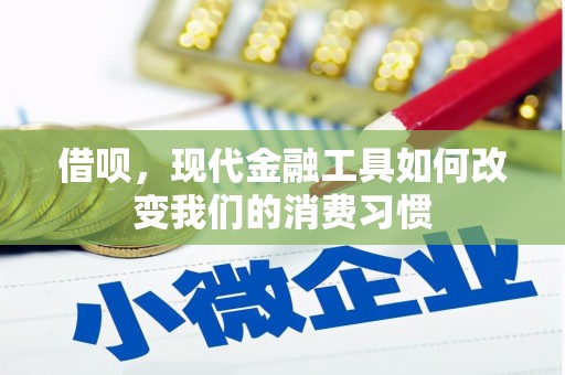 云安借呗，现代金融工具如何改变我们的消费习惯