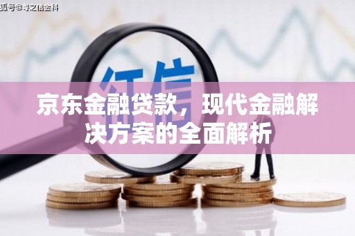 云安京东金融贷款，现代金融解决方案的全面解析