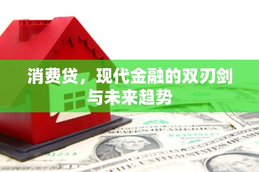 云安消费贷，现代金融的双刃剑与未来趋势