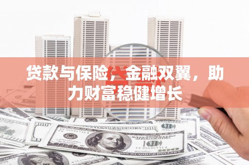 云安贷款与保险，金融双翼，助力财富稳健增长