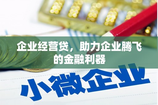 云安企业经营贷，助力企业腾飞的金融利器
