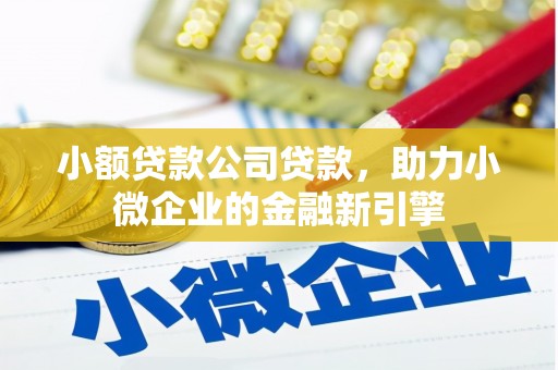 云安小额贷款公司贷款，助力小微企业的金融新引擎