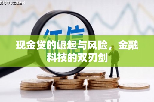 云安现金贷的崛起与风险，金融科技的双刃剑
