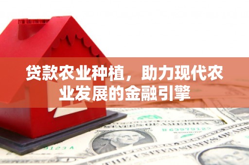 云安贷款农业种植，助力现代农业发展的金融引擎