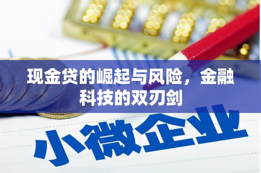 云安现金贷的崛起与风险，金融科技的双刃剑