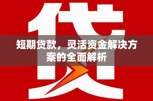 云安短期贷款，灵活资金解决方案的全面解析