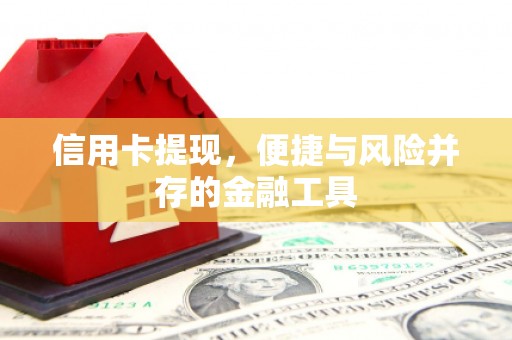 云安信用卡提现，便捷与风险并存的金融工具