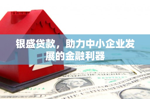 云安银盛贷款，助力中小企业发展的金融利器