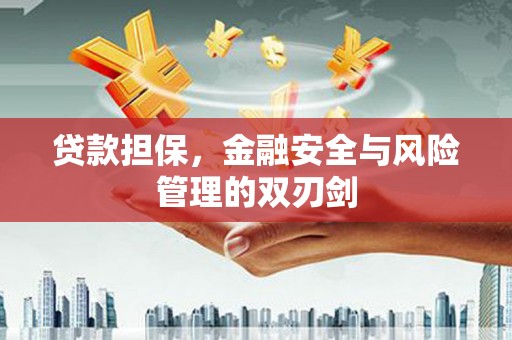 云安贷款担保，金融安全与风险管理的双刃剑