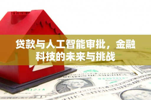 云安贷款与人工智能审批，金融科技的未来与挑战