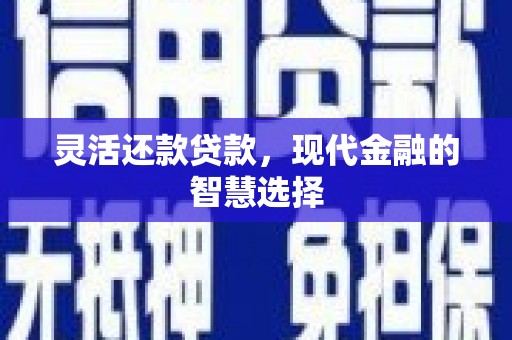 云安灵活还款贷款，现代金融的智慧选择
