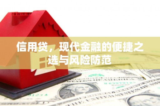 云安信用贷，现代金融的便捷之选与风险防范