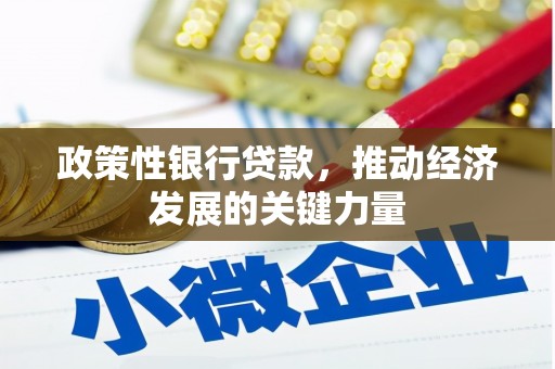 云安政策性银行贷款，推动经济发展的关键力量