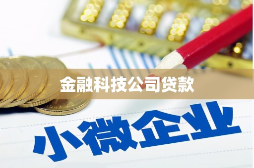 云安金融科技公司贷款