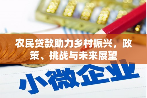 云安农民贷款助力乡村振兴，政策、挑战与未来展望