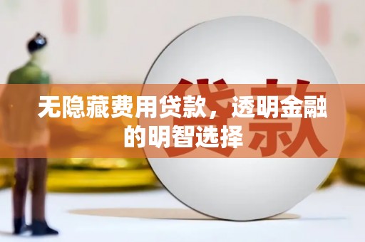云安无隐藏费用贷款，透明金融的明智选择