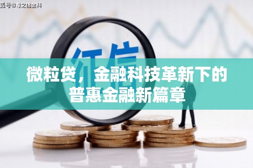 云安微粒贷，金融科技革新下的普惠金融新篇章