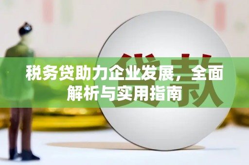云安税务贷助力企业发展，全面解析与实用指南