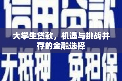 云安大学生贷款，机遇与挑战并存的金融选择