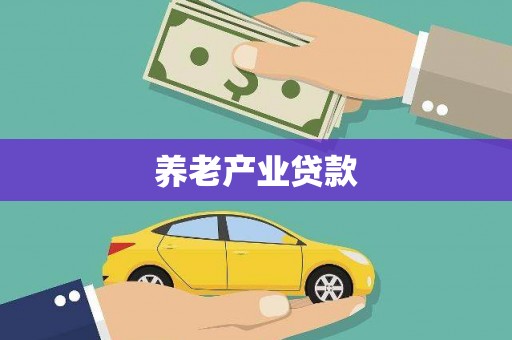 云安养老产业贷款