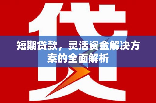 云安短期贷款，灵活资金解决方案的全面解析