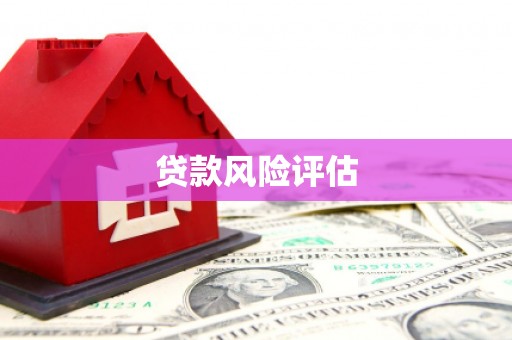 云安贷款风险评估