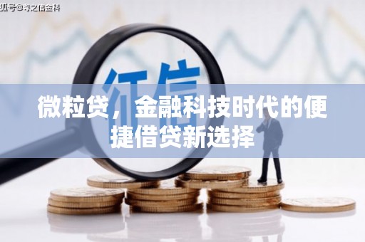 云安微粒贷，金融科技时代的便捷借贷新选择