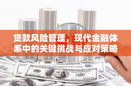 云安贷款风险管理，现代金融体系中的关键挑战与应对策略