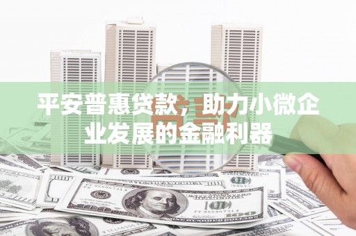 云安平安普惠贷款，助力小微企业发展的金融利器