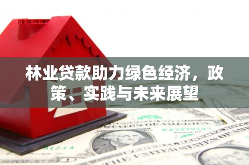 云安林业贷款助力绿色经济，政策、实践与未来展望