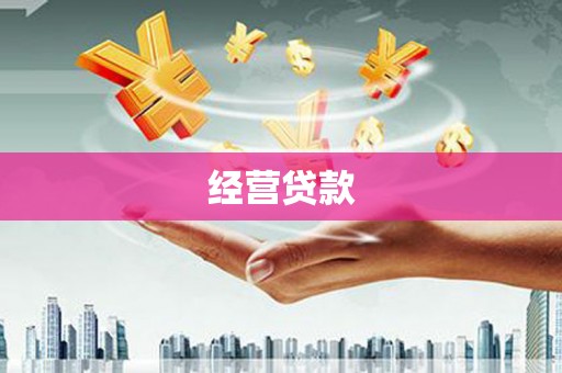 云安经营贷款